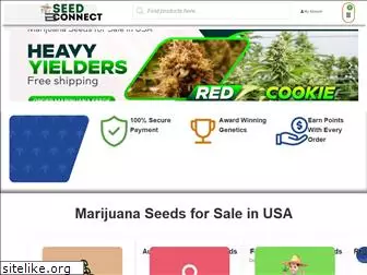 marijuanaseedconnect.com