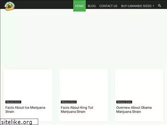 marijuanatravels.com