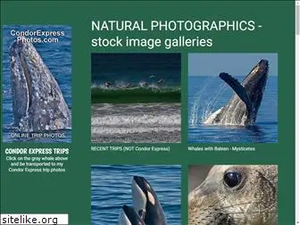 marinebiophotography.com