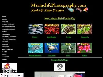 marinelifephotography.com