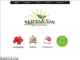 marioandson.net