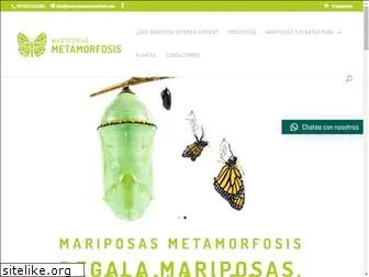 mariposasmetamorfosis.com