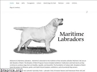 maritimelabs.com