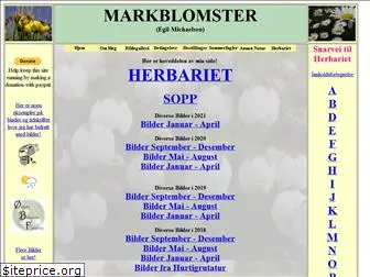 markblomster.com