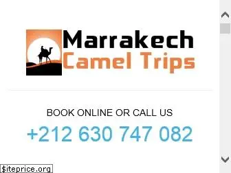 marrakech-camel-trips.com