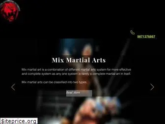 martialart-warriors.in