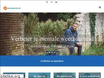 martijnholtes.com