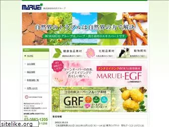 maruei-group.com