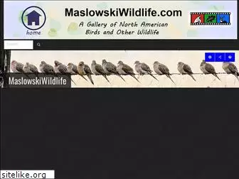 maslowskiwildlife.com