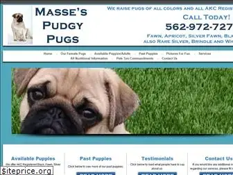 massespudgypugs.com