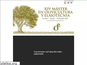 masterolivicultura.org