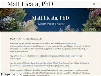 mattlicataphd.com