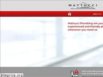 mattucciplumbing.com