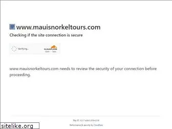 mauisnorkeltours.com