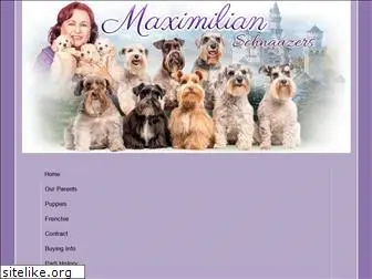 maximilianschnauzers.com