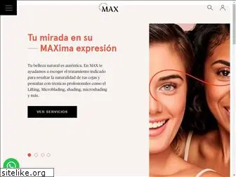 maxlashbrowstudio.com