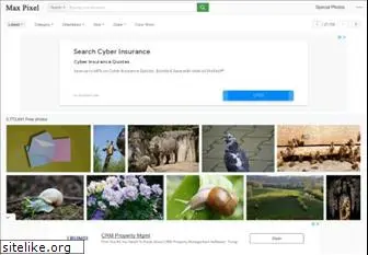 maxpixel.net