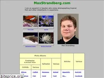 maxstrandberg.com