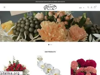 mayflowershop.com