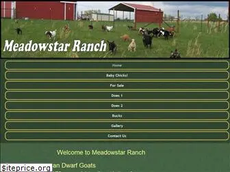 meadowstar-ranch.com