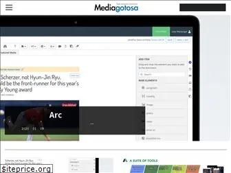 mediagotosa.com