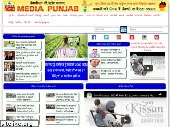 mediapunjab.de