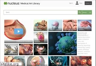 medicalillustration.com