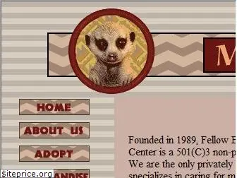 meerkats.com