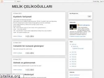 melikcelikogullari.com