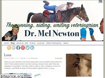 melnewton.com