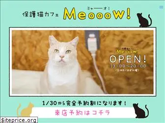 meooow-cat.com