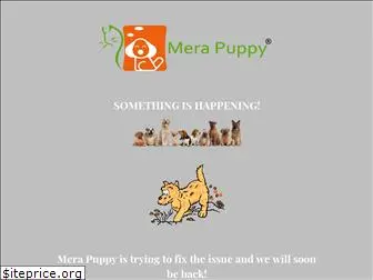 merapuppy.com