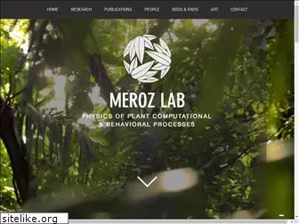 merozlab.com