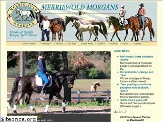 merriewoldmorgans.com