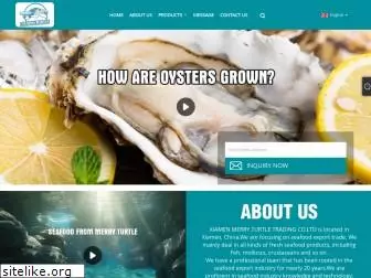 merryturtlevideo.com