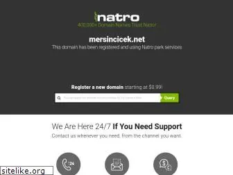 mersincicek.net