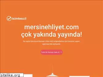 mersinehliyet.com