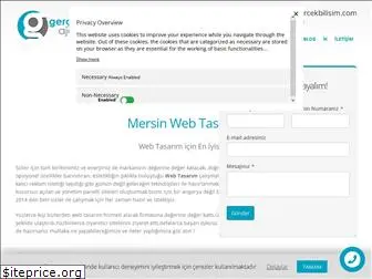 mersinwebtasarim.org