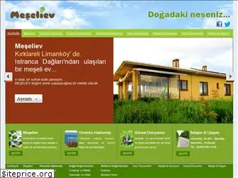 meseliev.com