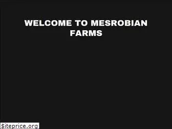 mesrobianfarms.com