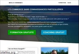 metaecommerce.fr