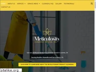 meticulositycleaning.com