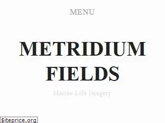 metridium.com