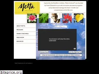 mettainstitute.org