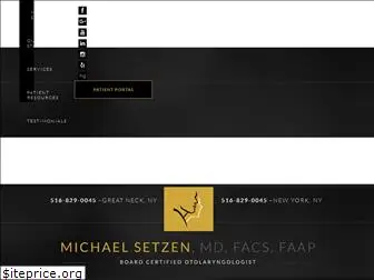 michaelsetzen.com