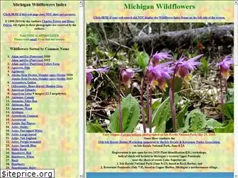 michwildflowers.com