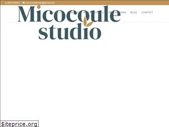 micocoulestudio.fr