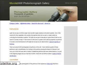 microlabgallery.com