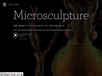 microsculpture.net