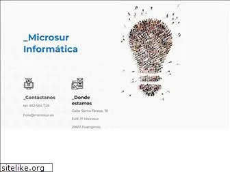 microsurinformatica.es